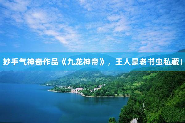 妙手气神奇作品《九龙神帝》，王人是老书虫私藏！