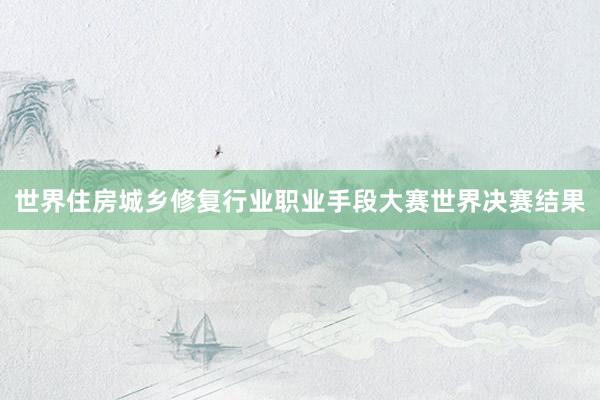 世界住房城乡修复行业职业手段大赛世界决赛结果