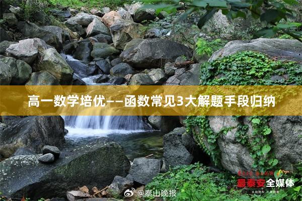 高一数学培优——函数常见3大解题手段归纳
