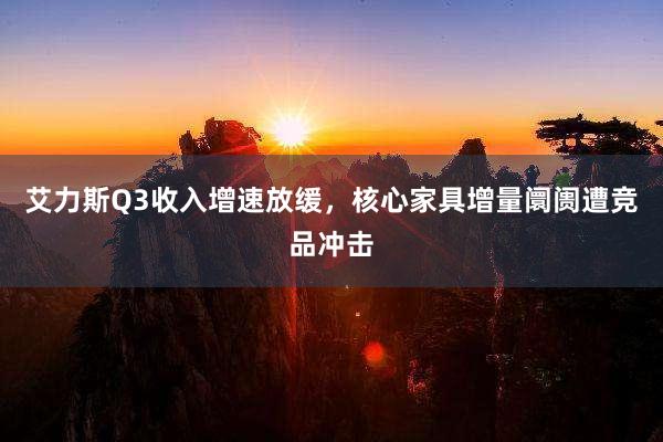 艾力斯Q3收入增速放缓，核心家具增量阛阓遭竞品冲击