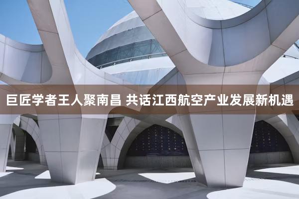 巨匠学者王人聚南昌 共话江西航空产业发展新机遇
