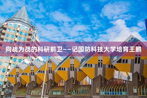 向战为战的科研前卫——记国防科技大学培育王鹏