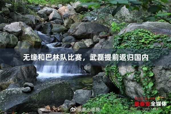 无缘和巴林队比赛，武磊提前返归国内