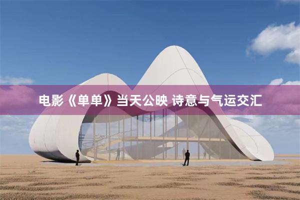 电影《单单》当天公映 诗意与气运交汇