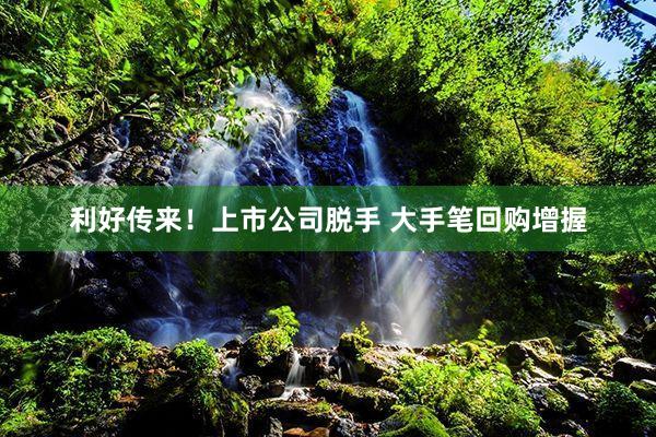 利好传来！上市公司脱手 大手笔回购增握