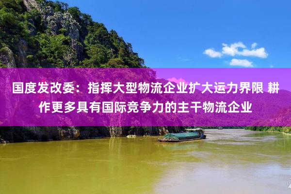 国度发改委：指挥大型物流企业扩大运力界限 耕作更多具有国际竞争力的主干物流企业