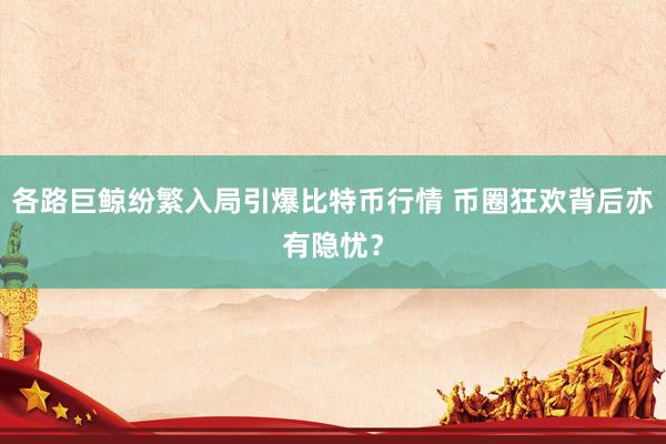 各路巨鲸纷繁入局引爆比特币行情 币圈狂欢背后亦有隐忧？