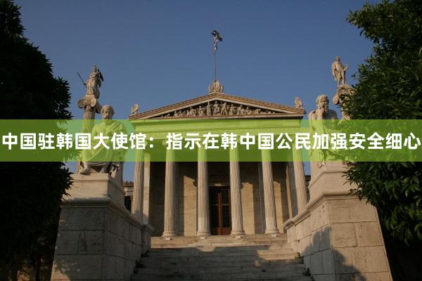 中国驻韩国大使馆：指示在韩中国公民加强安全细心