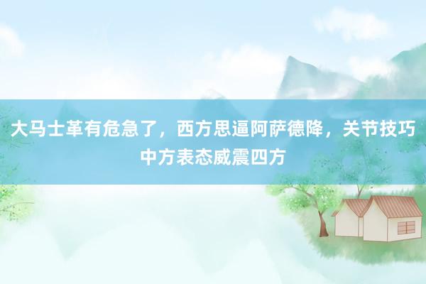 大马士革有危急了，西方思逼阿萨德降，关节技巧中方表态威震四方