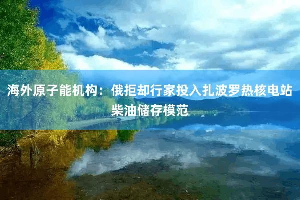 海外原子能机构：俄拒却行家投入扎波罗热核电站柴油储存模范