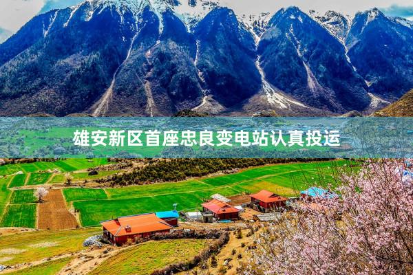 雄安新区首座忠良变电站认真投运