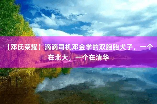 【邓氏荣耀】滴滴司机邓金学的双胞胎犬子，一个在北大，一个在清华