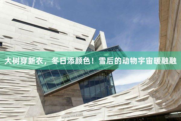 大树穿新衣，冬日添颜色！雪后的动物宇宙暖融融