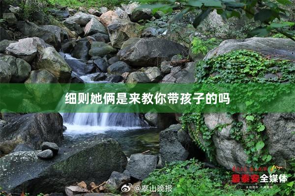 细则她俩是来教你带孩子的吗