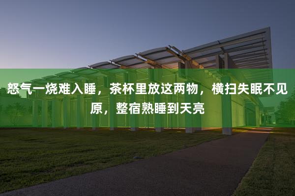 怒气一烧难入睡，茶杯里放这两物，横扫失眠不见原，整宿熟睡到天亮